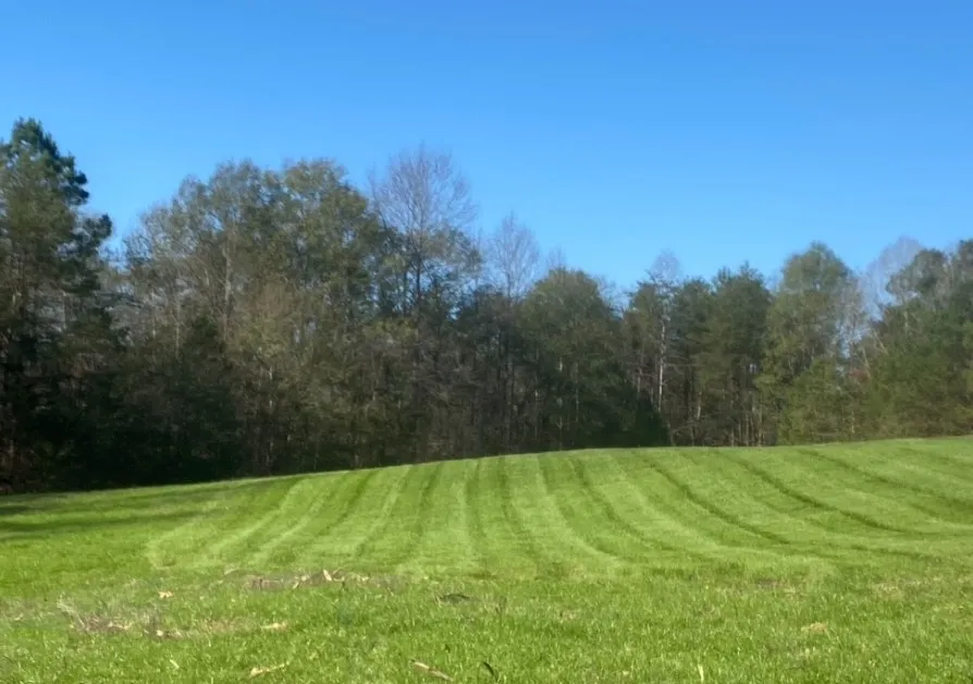 Bush Hogging in Shelby, NC