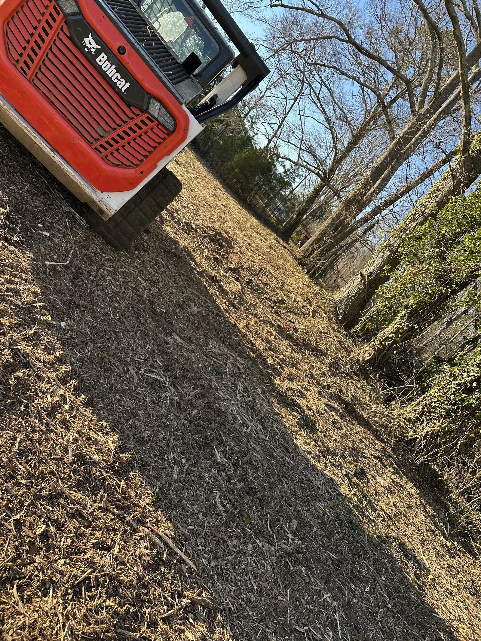 Tracked forestry mulcher grinding brush on a North Carolina slope
