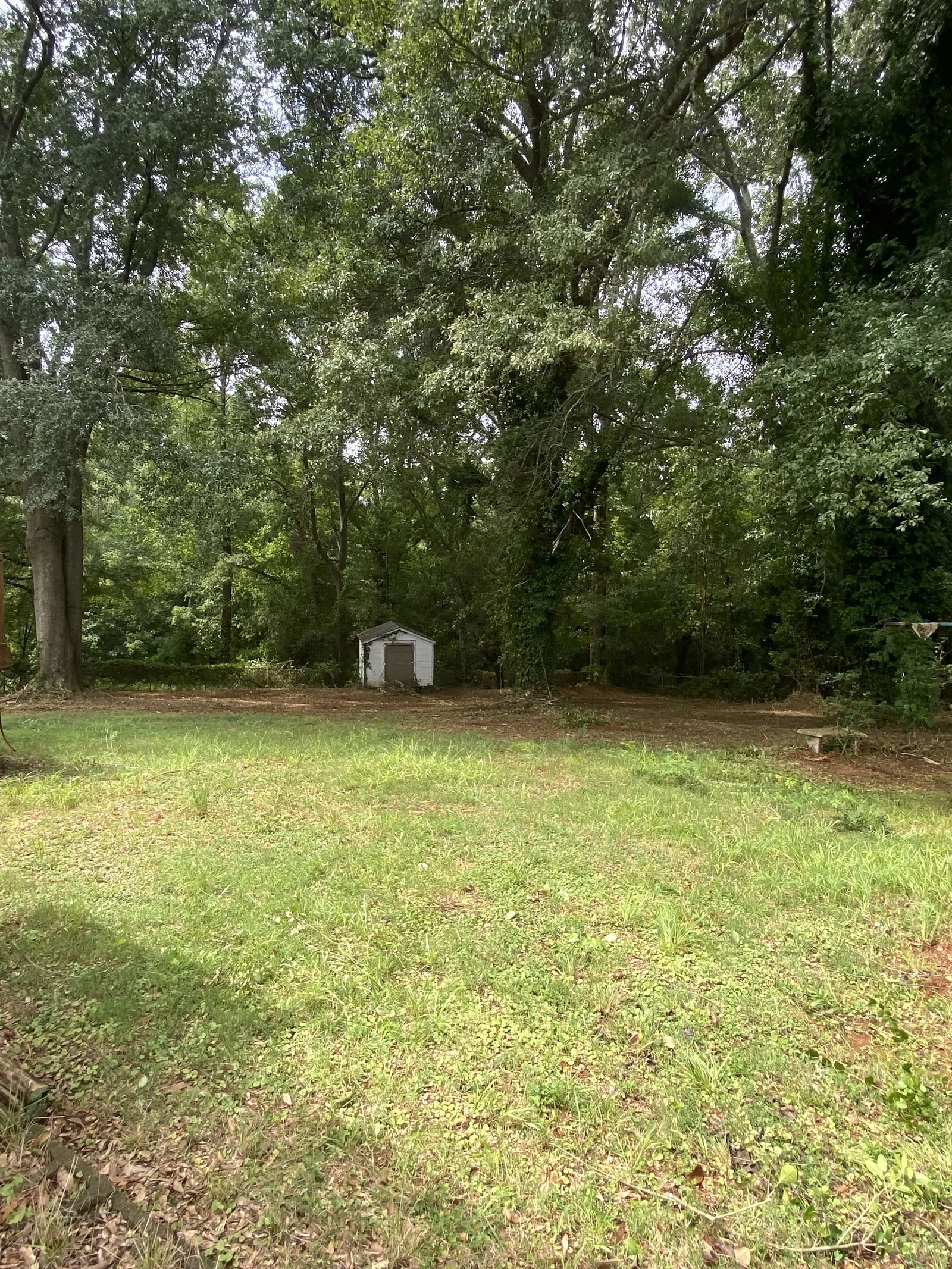 Level yard behind a storage shed after grading