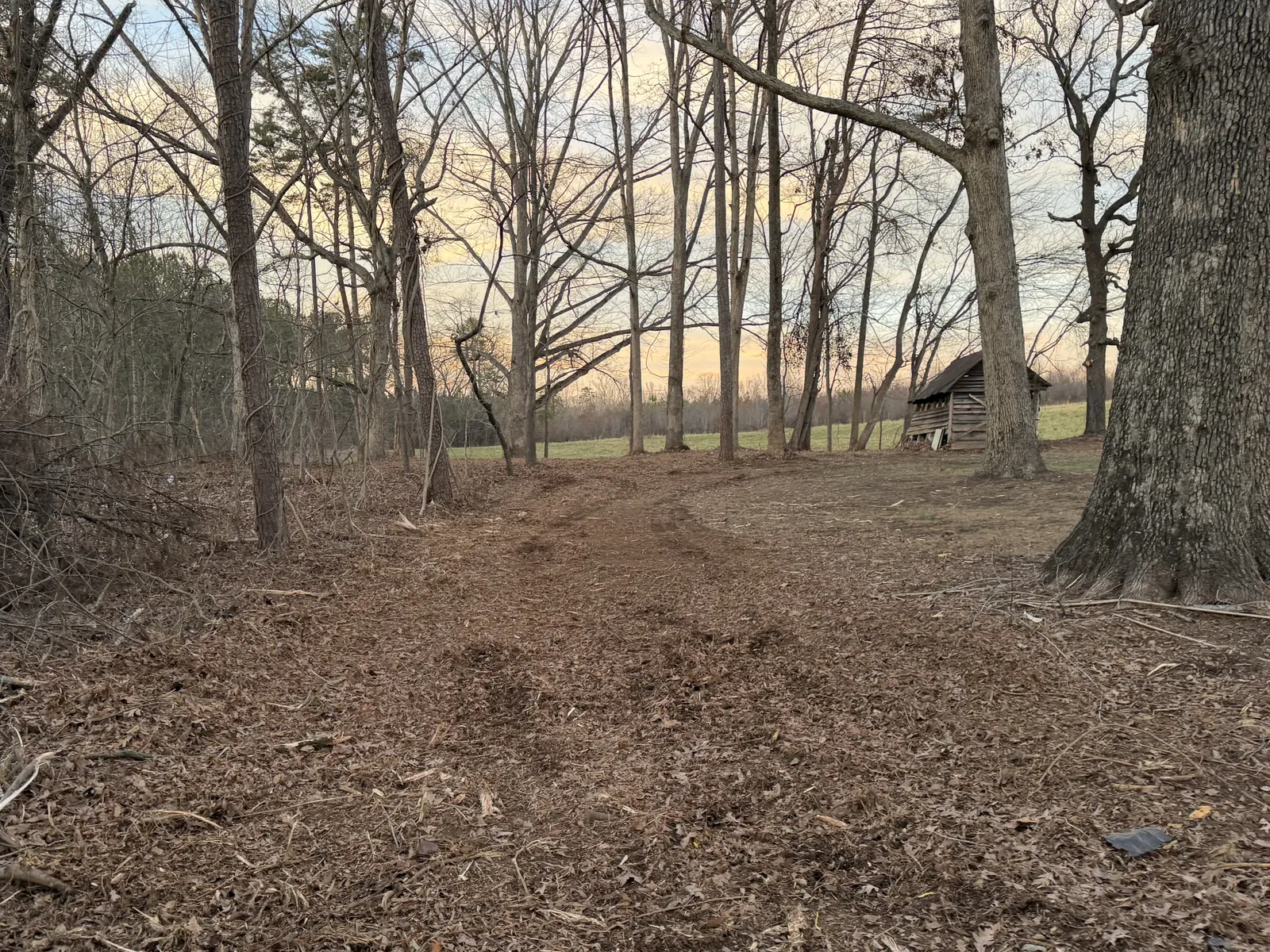 Land Clearing in Polkville, NC