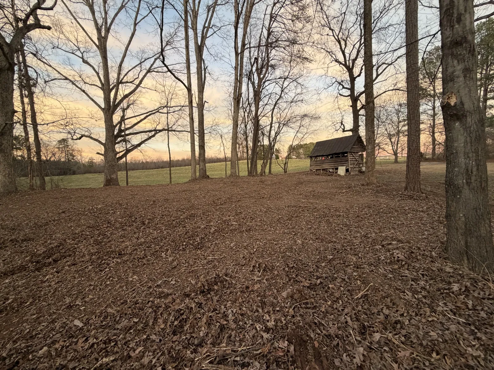 Trees removed along a road corridor near Shelby, NC